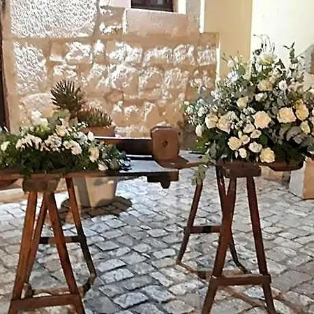 Teresa Modica