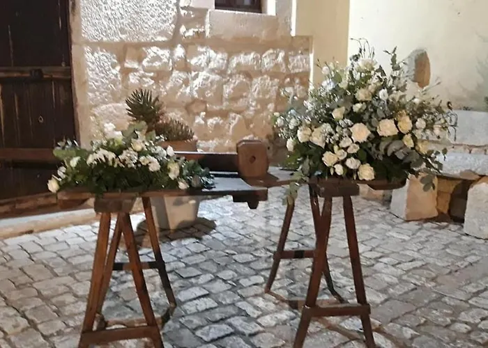 特蕾莎别墅酒店 酒店